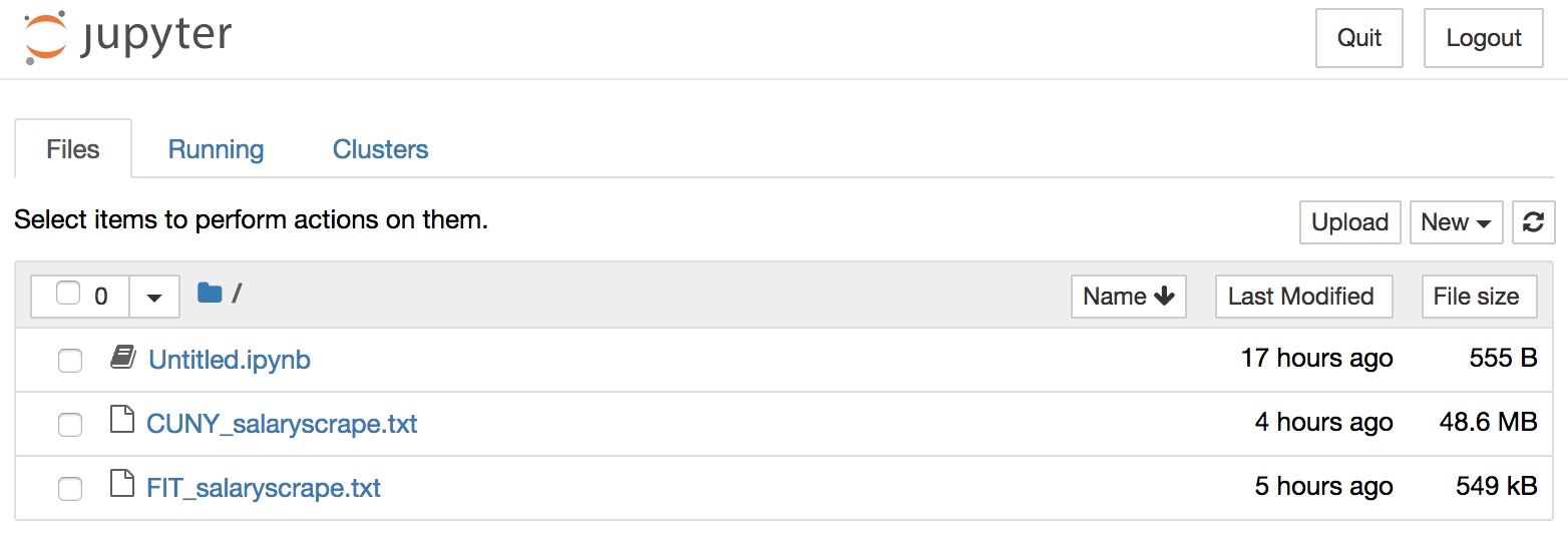 Jupyter Notebook Launch